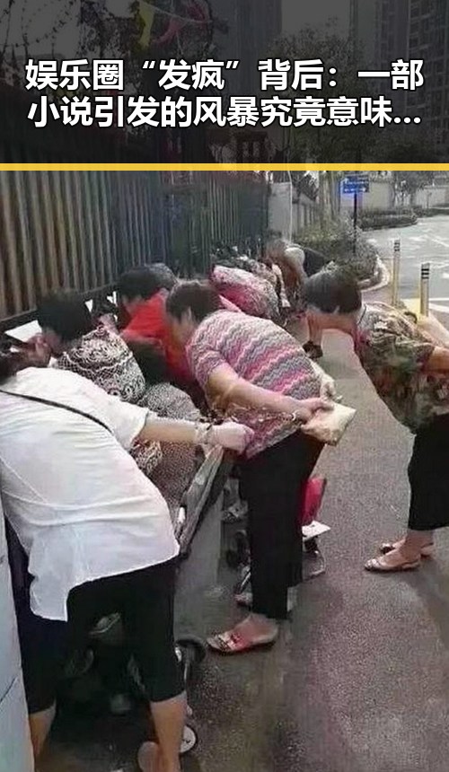 娱乐圈“发疯”背后：一部小说引发的风暴究竟意味着什么？🤔