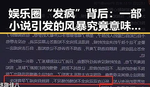 娱乐圈“发疯”背后:一部小说引发的风暴究竟意味着什么?🤔